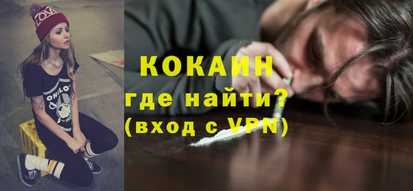 крисы Абаза