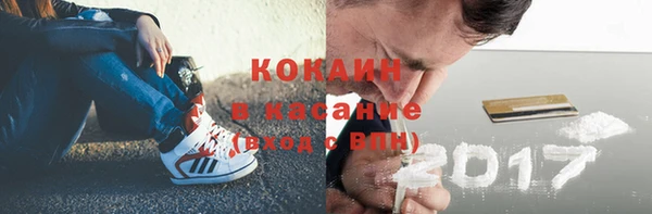 крисы Абаза