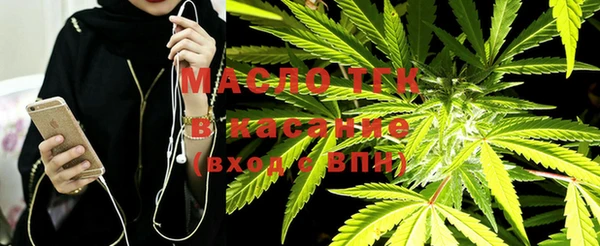 крисы Абаза