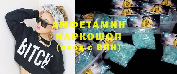 крисы Абаза