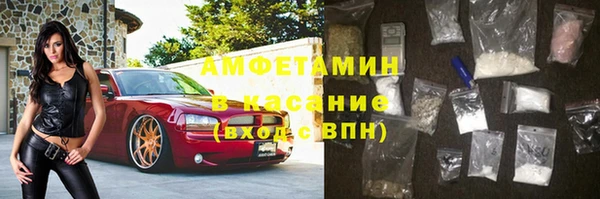 крисы Абаза
