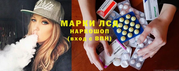крисы Абаза