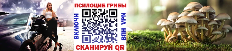 Галлюциногенные грибы прущие грибы  Вологда 